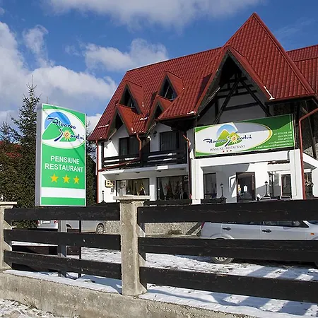Guest house Floarea Soarelui