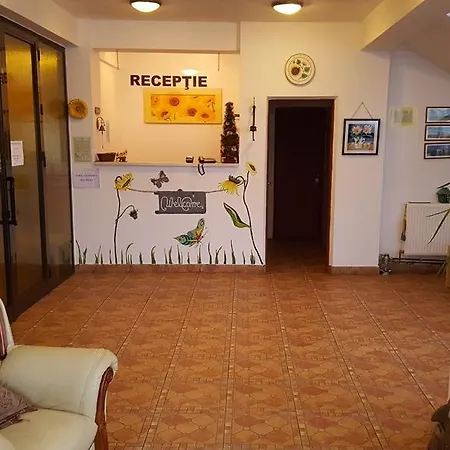 Floarea Soarelui Guest house Cheia (Prahova)