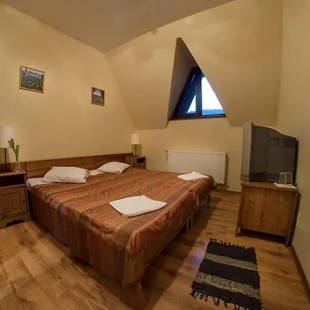 Floarea Soarelui Guest house *